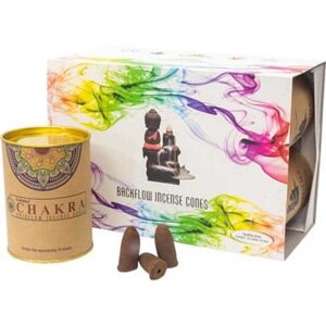 Chakra Backflow Incense Cones