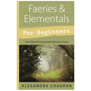 Faeries & Elementals for Beginners