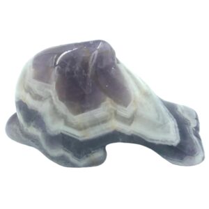Amethyst Dolphin