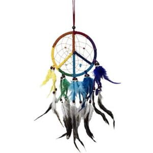 Dreamcatcher: Peace Chakras 6"