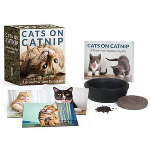 Grow Your Own Catnip Box