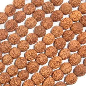 Rudraksha 8mm Round Beads image