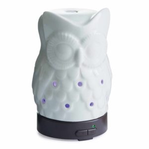 Table Top Ultra Sonic Essential Oil Diffuser: Owl
