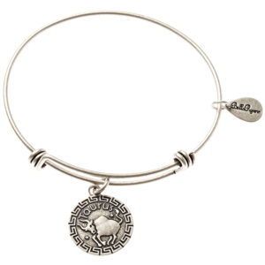 Taurus Silvertone Bangle Bracelet
